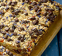 flapjack