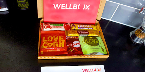 WellBox Mini